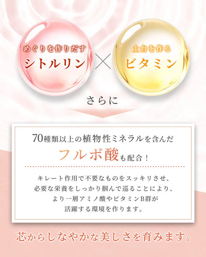 メグリーナ シトルリン＋7種のビタミンBミックス 90粒